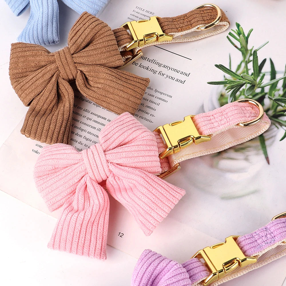 VelvyBow – Collier et Laisse en Velours avec Noeud Papillon