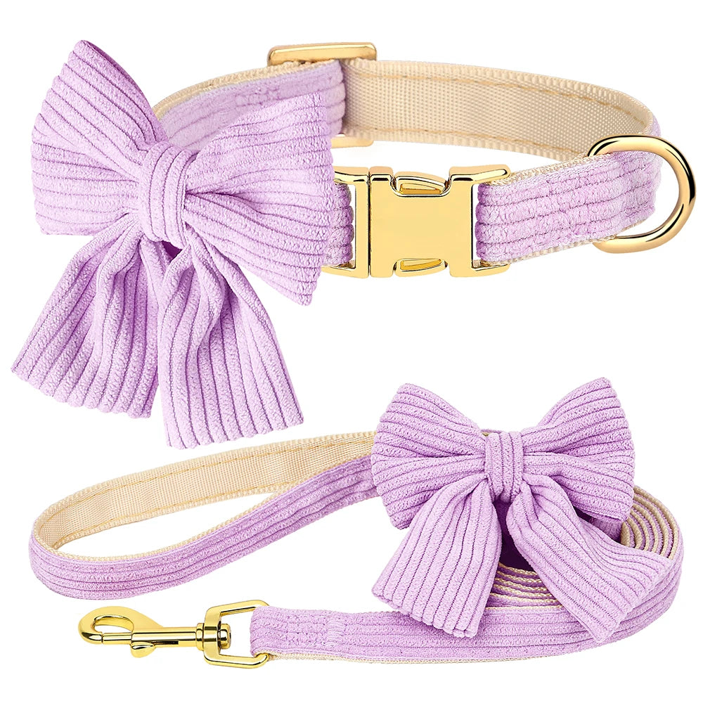 VelvyBow – Collier et Laisse en Velours avec Noeud Papillon