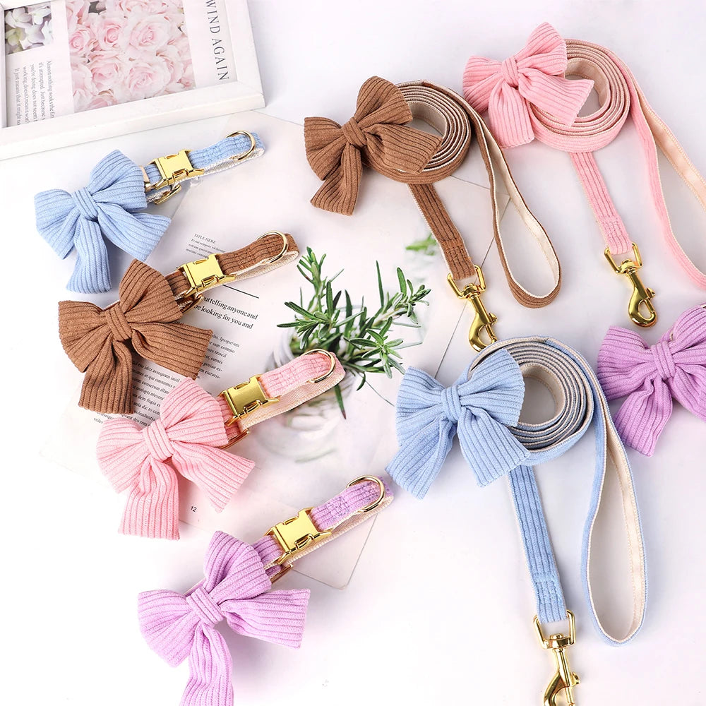 VelvyBow – Collier et Laisse en Velours avec Noeud Papillon