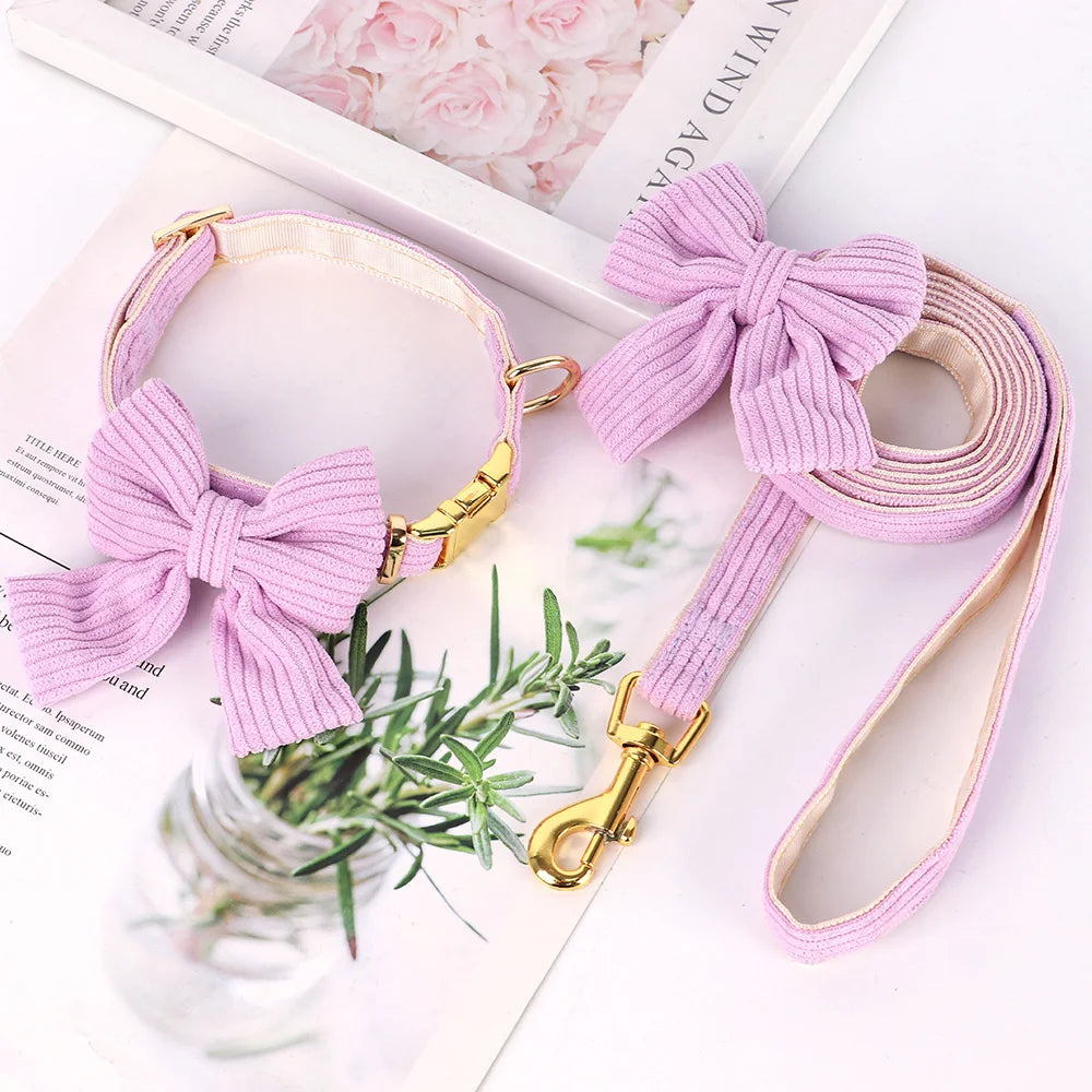 VelvyBow – Collier et Laisse en Velours avec Noeud Papillon