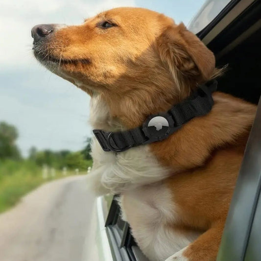SecureTag – Collier de Sécurité pour chien avec Support AirTag